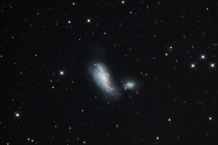 NGC 4485/4490 Cocoon Galaxies